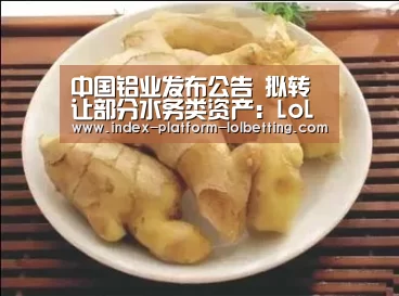 LoL投注网站 