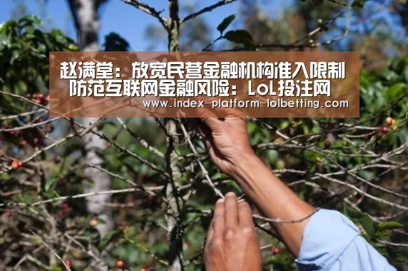 LoL投注网站 