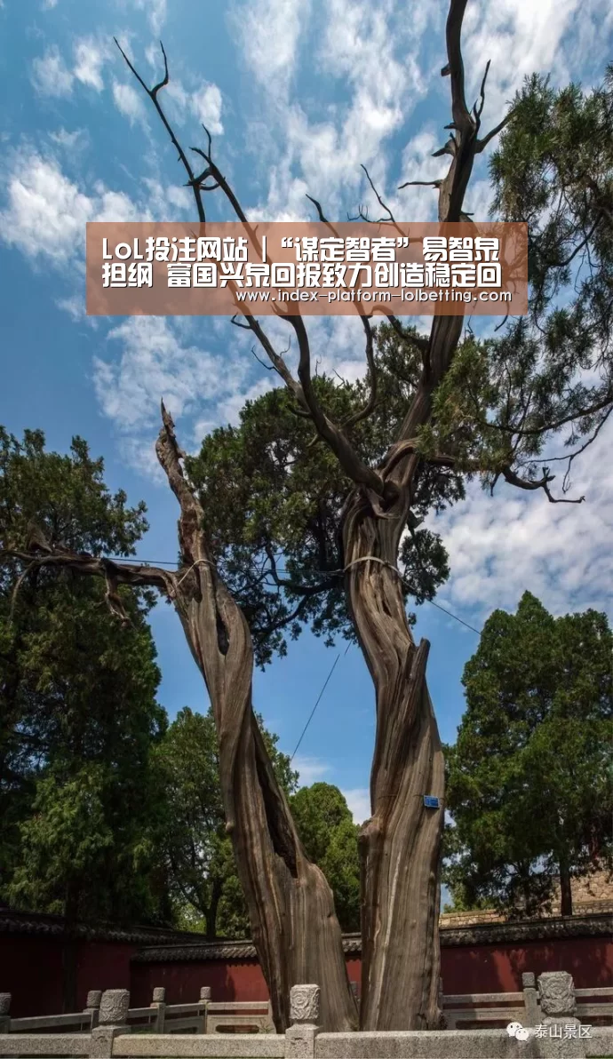 LoL投注网站 |“谋定智者”易智泉担纲 富国兴泉回报致力创造稳定回报(图1) LoL投注网站