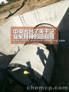 中央出台了关于企业家精神的高规格文件,听听这位企业家怎么说‘LoL投注网站 ’(图4) LoL投注网站