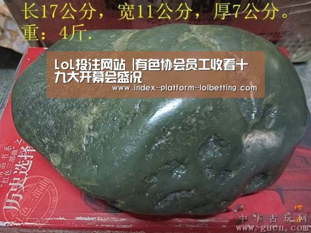 LoL投注网站 |有色协会员工收看十九大开幕会盛况(图1) LoL投注网站