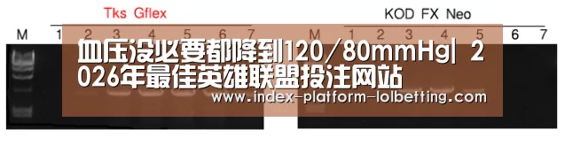 血压没必要都降到120/80mmHg| 2026年最佳英雄联盟投注网站(图1) 2026年最佳英雄联盟投注网站