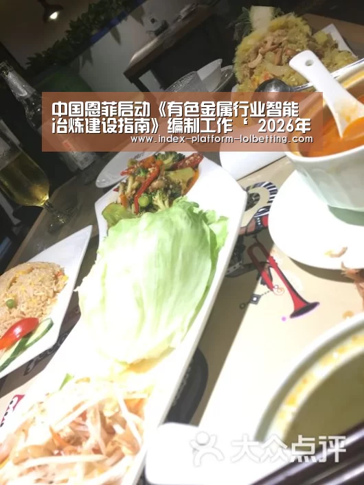 中国恩菲启动《有色金属行业智能冶炼建设指南》编制工作‘ 2026年最佳英雄联盟投注网站’(图2) 2026年最佳英雄联盟投注网站