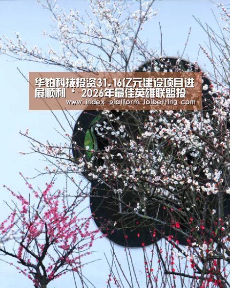华铂科技投资31.16亿元建设项目进展顺利‘ 2026年最佳英雄联盟投注网站’(图1) 2026年最佳英雄联盟投注网站